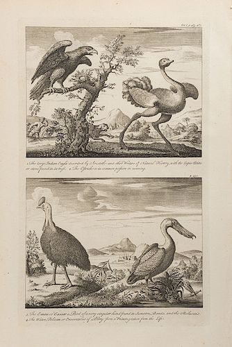 Tipos, Vistas, Fauna, Retrato, Mapas y Planos. London, 1744. Grabados, varios formatos; hoja completa, 42 x 26 cm. Piezas: 17.