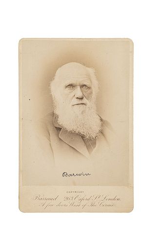 Barraud, Herbert Rose. Retrato de Charles Darwin. London, ca., 1882. Tarjeta gabinete, fotografía en albúmina, 13.8 x 10.2 cm.