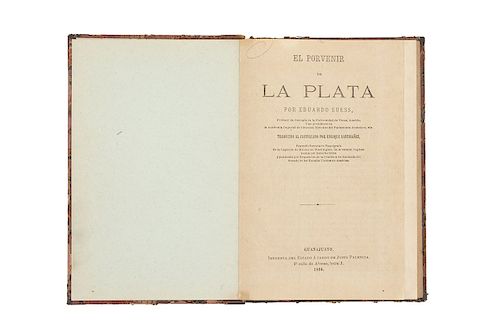 Suess, Eduardo. El Porvenir de la Plata. Guanajuato: Imprenta del Estado a cargo de Justo Palencia, 1894.