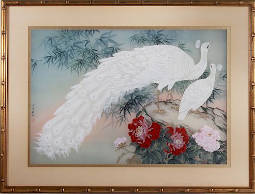 Chinese School White Peacock Gouache on Silk