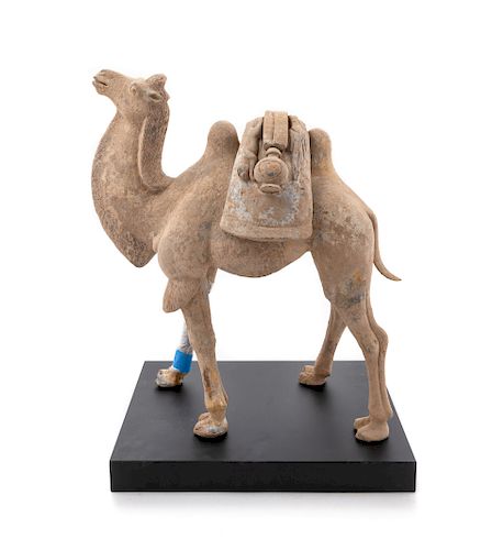 A Pottery Figure of a Bactrian Camel
Height 17 1/2 in., 44 cm.