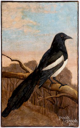 Oil on canvas of a magpie