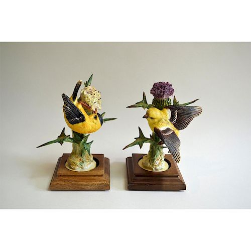 ROYAL WORCESTER GOLDFINCH AND THISTLE, PAIR