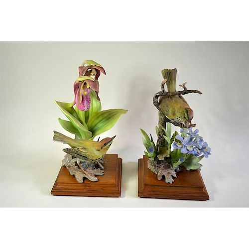 ROYAL WORCESTER OVEN BIRD, CRESTED IRIS & LADY SLIPPER, PAIR