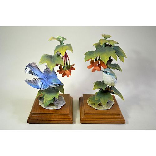 ROYAL WORCESTER CERULEAN WARBLERS AND RED MAPLE, PAIR