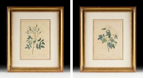 after PIERRE JOSEPH REDOUTÉ (Belgian/French 1759-1840) A PAIR OF BOTANICAL PRINTS, EARLY 19TH CENTURY,