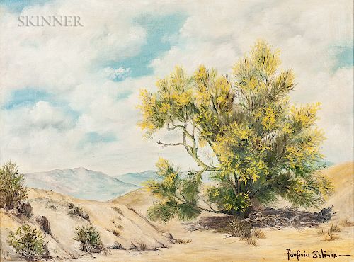 Porfirio Salinas (American, 1910-1973)  Desert Mesquite Tree, Amarillo, Texas