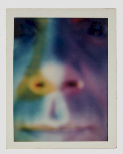 Lucas Samaras Polaroid