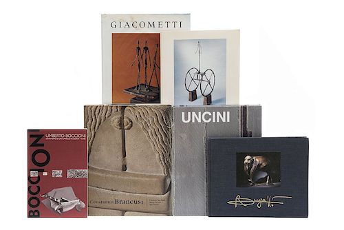 Libros sobre Escultores de Siglo XX. Constantin Brancusi, 1876 - 1957 / Giuseppe Uncini / Alberto Giacometti... Piezas: 6.