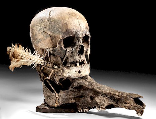 19th C. Ifugao Human Trophy Skull w/ Boar Skull