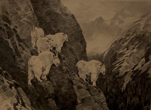 Carl Rungius - Goats