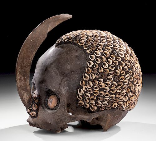 Early 20th C. Asmat Skull w/ Shells & Boar Tusk