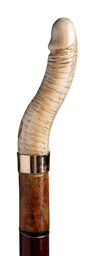  Antique ivory mounted erotic walking stick cane - England early 20th Century 
