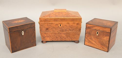 Group of three teaboxes, burl teabox with lion head handles and bun feet opening to double compartment interior, line inlaid covers, small inlaid sing