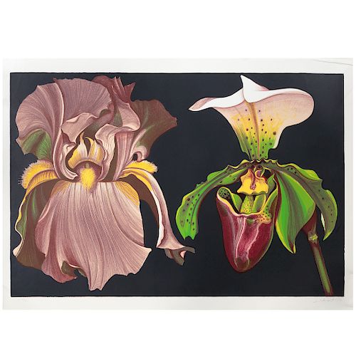 Lowell Nesbitt. "Iris and Orchid"