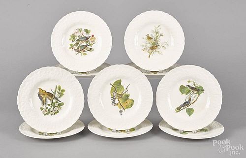 Set of ten ironstone plates decorated with Audubon's Birds of America, 11'' dia.