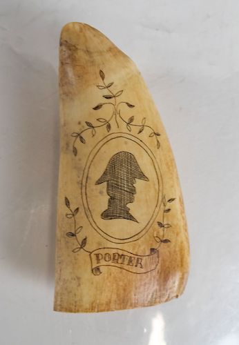 Double-Sided Scrimshaw Tooth Carving