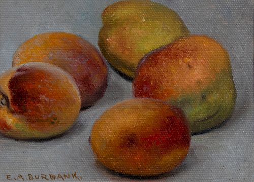 E. A. Burbank, Untitled (Still Life with Peaches)