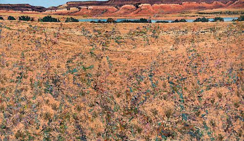 Jim Woodson, Simultaneous Undifferentiated Transaction #1 (Ghost Ranch)