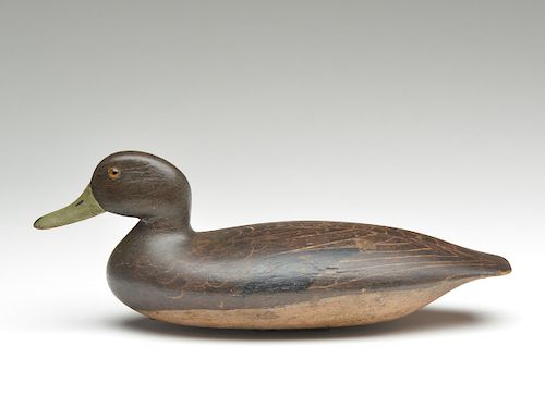 Hollow carved black duck, John Blair, Sr., Philadelphia, Pennsylvania, last quarter 19th century.