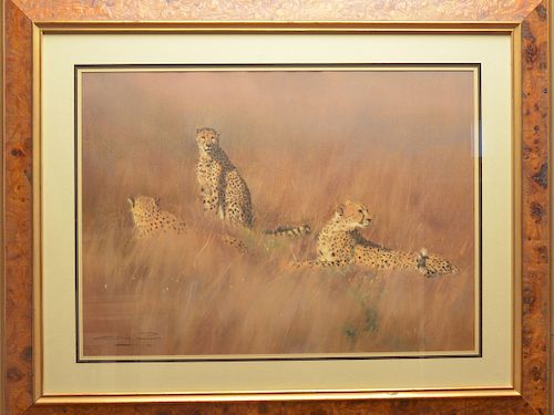 "Cheetahs in the Grass," charcoal on paper Dino Paravano (b. 1935).