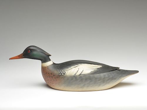 Swimming merganser carved in the style of Elmer Crowell, Keith Mueller, Killingsworth, Connecticut.
