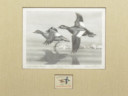 Group of three Federal duck stamp prints, Maynard Reece.