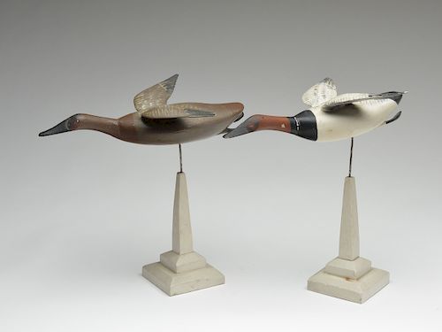Rare and desirable pair of flying canvasbacks, Capt. John Glenn, Rock Hall, Maryland, 1st quarter 20th century.
