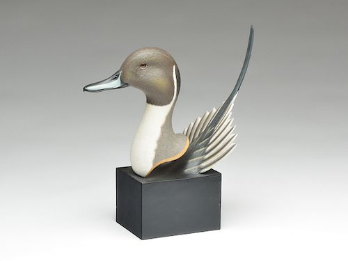 Pintail drake head and tail on wooden block, Jimmie Vizier, Galliano, Louisiana.