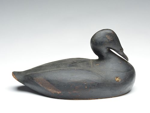 Incredibly well sculpted scoter, Gus Wilson, South Portland, Maine.