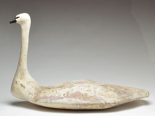 Two large swan from Baltimore, Maryland.