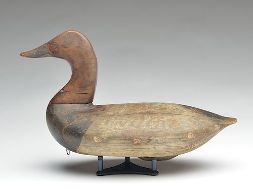 High head model canvasback drake, Taylor Boyd, Perryville, Maryland, first quarter 20th century.