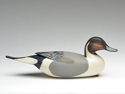 Pintail drake carved in the Delaware River style, Clarence Fennimore.
