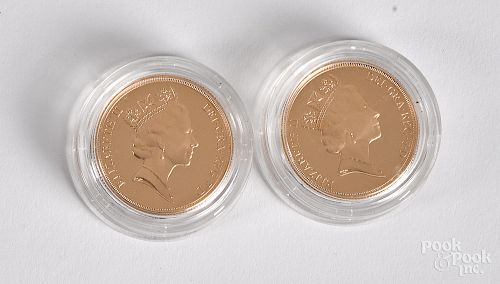 Great Britain 1991 gold double sovereign coins
