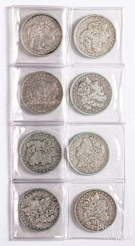 Eight Morgan silver dollars