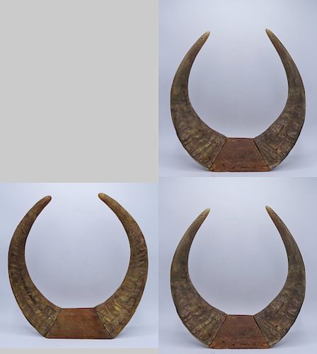 GROUP 3 SETS DOUBLE OF HORNS