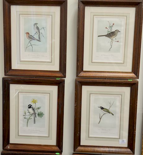 Nine Cassin's Illustrated bird prints to include "The American Lanier," "The Northern Chickadee," "The Brown Headed Finch," etc all professionally fra