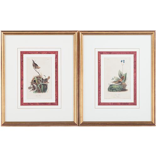 John James Audubon. Two Ornithological Prints