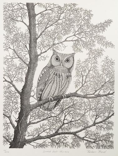 Pieter D. Prall
(American, b. 1951)
Screech Owl - Otus asio 