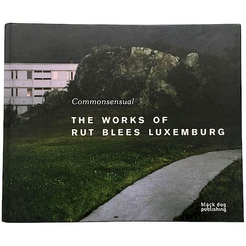 Rut Blees Luxemburg  Commonsensual, The Works of Rut Blees Luxembourg Book