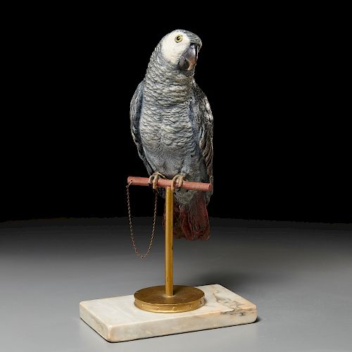 Large Vienna cold-painted bronze parrot