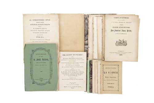 Colección de Sermones, Oraciones, Carta pastoral. Siglo, XIX. Piezas: 19.