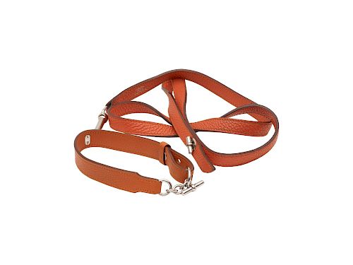 Hermès - Kelly dog collar and leash set