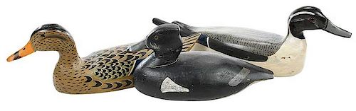 Three Louisiana Carved and Painted Duck Decoys