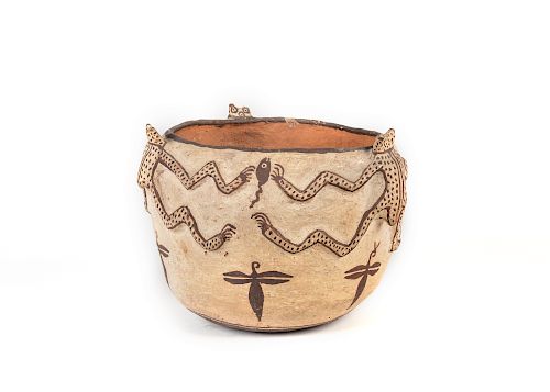 Zuni, Pot with Frogs, Dragonflies, and Tadpoles