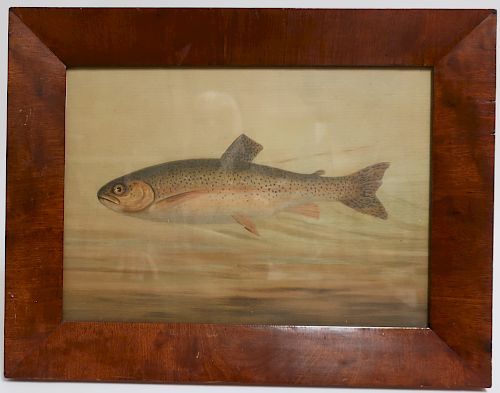 Am Sch, 19th c., Speckled Trout, W/C, Unsigned