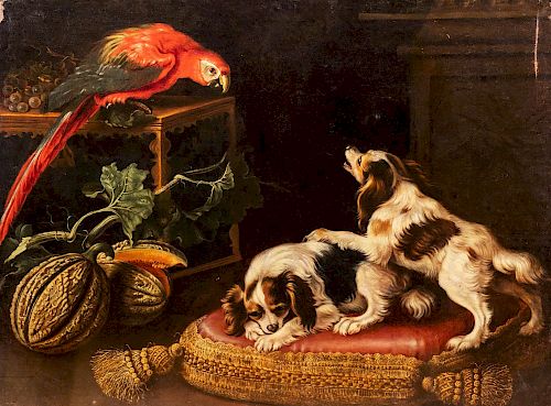Seguace di Giovanni Paolo Castelli, detto lo Spadino- Still life with two dogs and a parrot