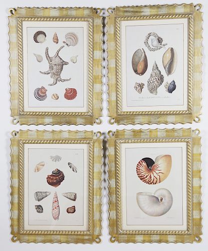 Four Italian Framed Decorative Shell Lithographs