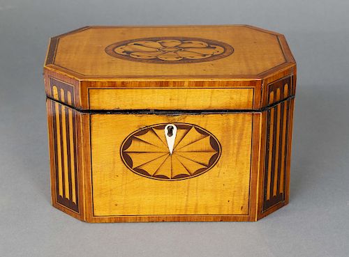 Regency Satinwood Canted Corner Double Compartment Tea Caddy, 19th Century