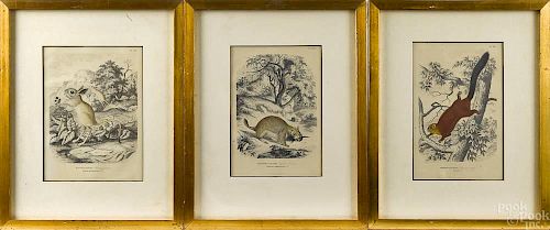 Currier & Ives lithograph, titled A Midnight Rac